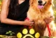 Poniiy (2026): Shibesh Motilal’s Dogged Reunion Drama Wags a Familiar Tail